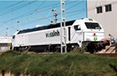 Estimating the energy consumption and emissions of carbon dioxide (CO2) in freight trains and variability analysis